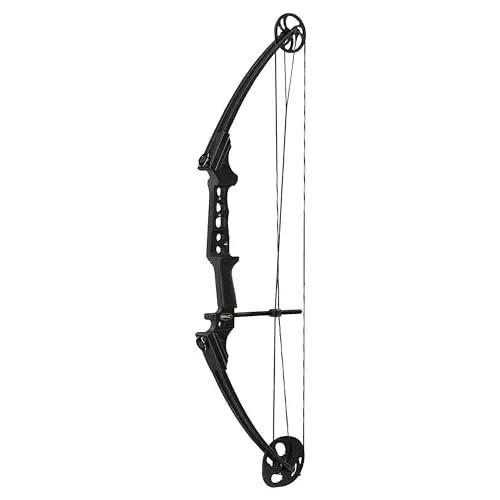 Best Starter Bow For Deer Hunting - 2026 Reviews - Bear Paw Hunts