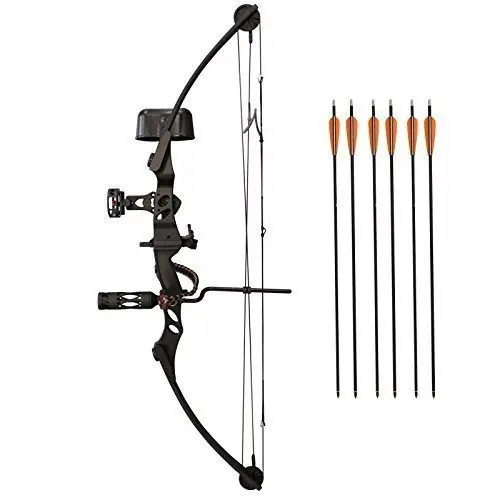 Best Compound Bow For Target Shooting - 2026 Reviews - Bear Paw Hunts