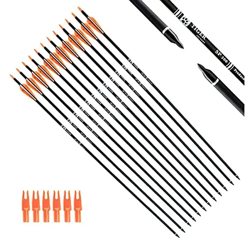 Best Arrows For A Recurve Bow - 2026 Reviews - Bear Paw Hunts