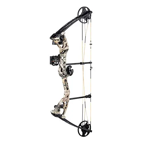 Best Compound Bow For The Money - 2026 Reviews - Bear Paw Hunts
