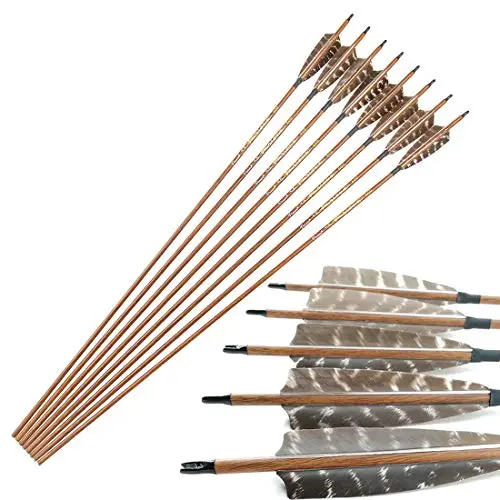 Best Arrows For A Recurve Bow - 2026 Reviews - Bear Paw Hunts