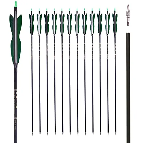 Best Arrows For A Recurve Bow - 2026 Reviews - Bear Paw Hunts
