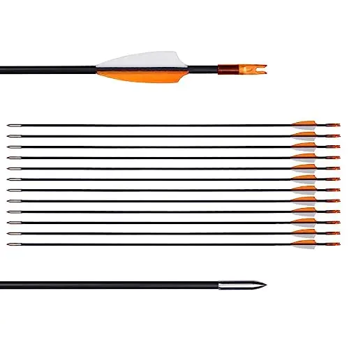 Best Arrows For A Recurve Bow - 2026 Reviews - Bear Paw Hunts