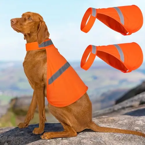 Best Hunting Vest For Dogs - 2026 Reviews - Bear Paw Hunts