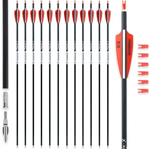 Best Target Arrows For Compound Bow - 2026 Reviews - Bear Paw Hunts